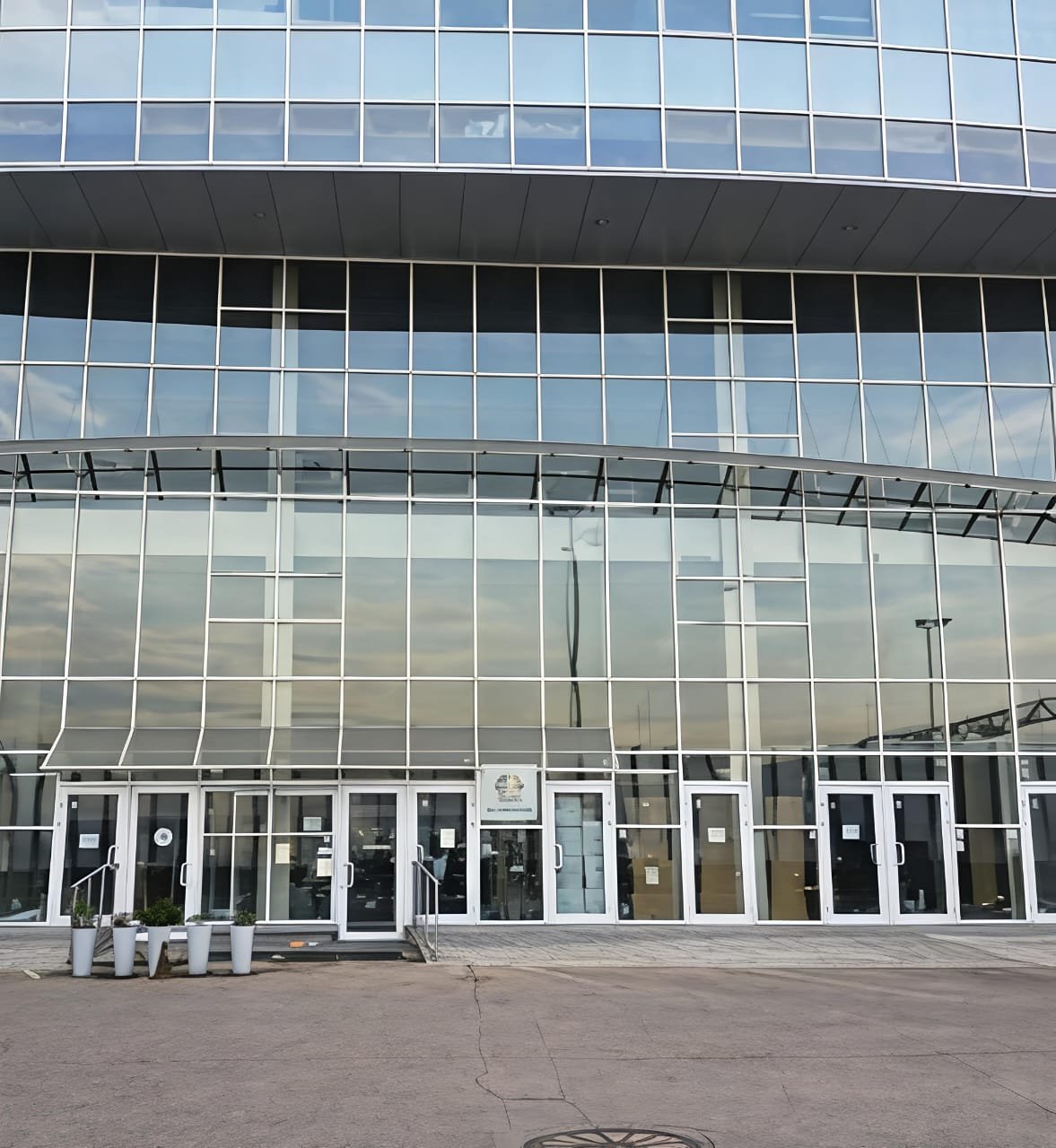 Angelika Group Business